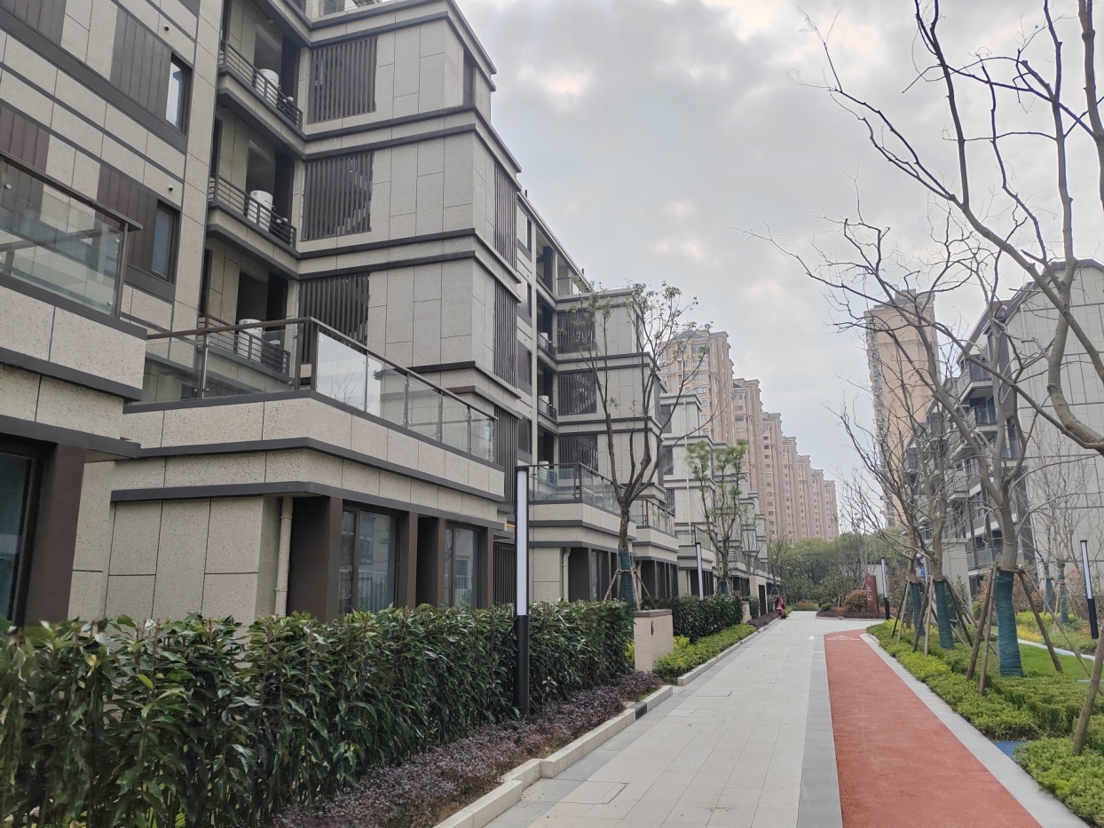 实景图