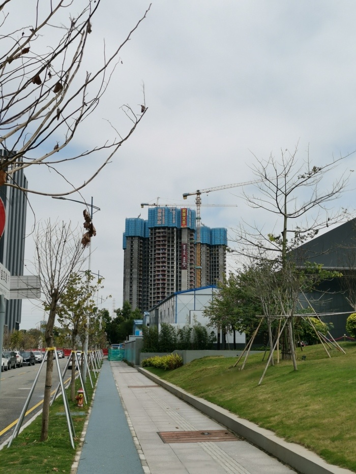 实景图